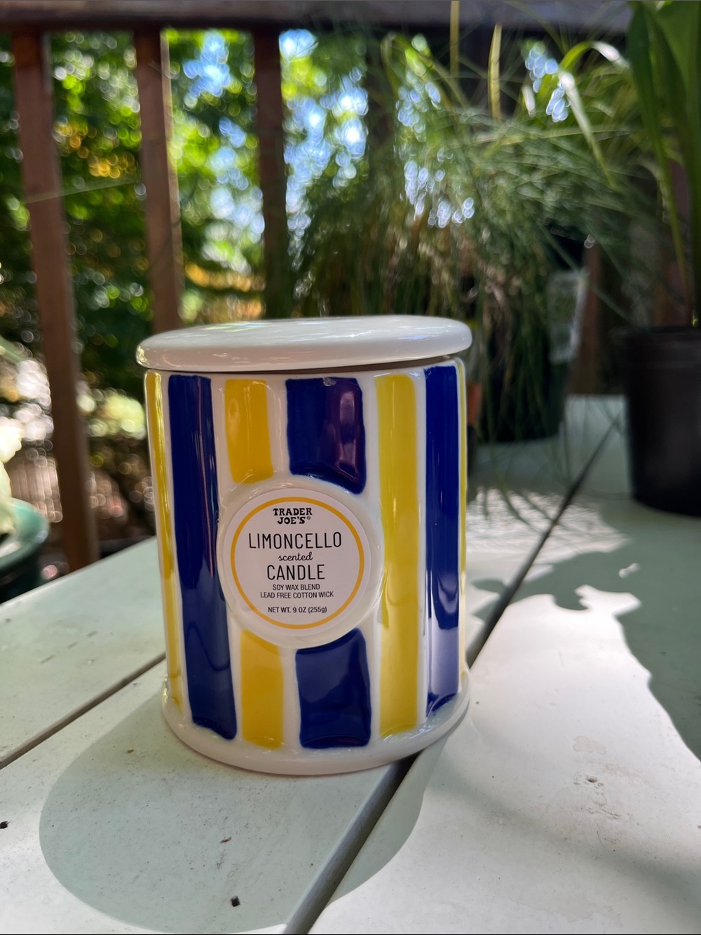 Trader Joe's Limoncello Scented Candle - Yellow & Blue Striped Ceramic Jar
